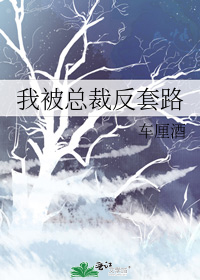 ������ƭ���֮�Ӻ�