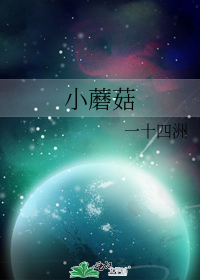 С���棨������