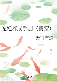 ���������ֲᣨ�崩��