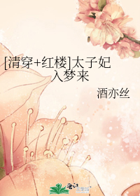 [�崩+��¥]̫����������