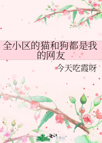 ȫС����è�͹������ҵ�����