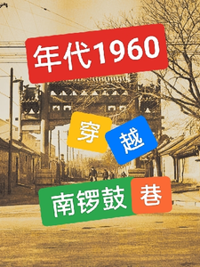 ���1960����Խ������