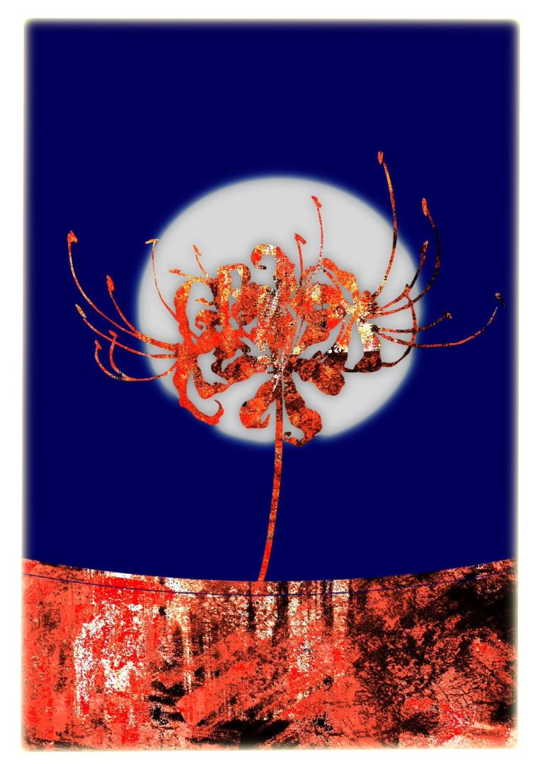 [ʹ���ٻ�/COD��Ů]Y/N������